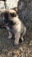 PAVEL 